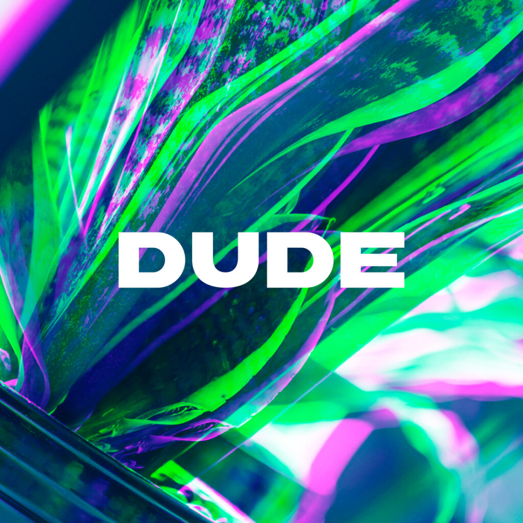 Digitoimisto Dude referenssi logo