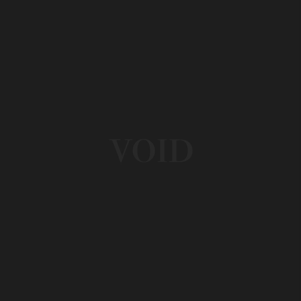 Logo VOID